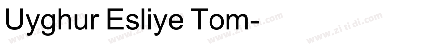 Uyghur Esliye Tom字体转换